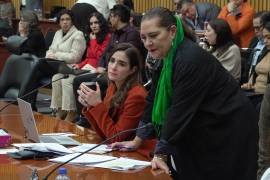 Guadalupe Taddei señaló que el proyecto de reforma electoral sea de “mucha profundidad”.