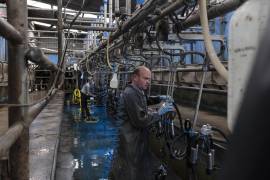 Tim Hanley en su granja lechera, cerca de una fábrica de Nestlé a la que suministraba leche para fórmula infantil vendida en China, en Askeaton, Irlanda.