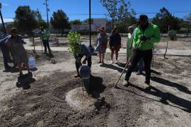 Vecinos del fraccionamiento Jacarandas Jardín participaron en la reforestación de la plaza principal.