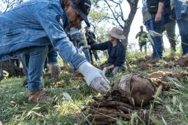 En un estudio presentado por la Universidad Iberoamericana, se consideró que Jalisco es un caso emblemático porque se han localizado 263 fosas.