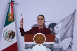 Aunque en agosto del año pasado la presidenta criticó que llevara sus siglas, un año después se presenta la queja, a unos días de cerrarse el proceso para aprobar nuevos partidos.