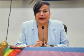 Activistas y organizaciones LGBT+ criticaron este lunes al presidente de México, Andrés Manuel López Obrador, por llamar “hombre vestido de mujer” a una diputada trans de Morena, Salma Luévano.