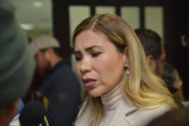 La alcaldesa de Múzquiz, Tania Flores, denunció por violencia política en razón de género a Enrique Falcón, empresario muzquense y nombrado en 2022 subsecretario de Infraestructura y Obra Pública del Estado de Coahuila.