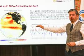 Se instalarán puestos de mando en todos los estados; primero en aquellos que tienen costa y después ya irá hacia el centro del país, dijo.