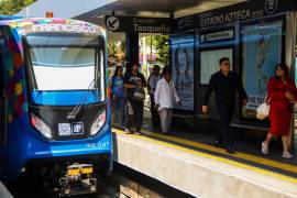 Los primeros reportes indican que la adulta mayor caminaba rumbo a la zona de torniquetes para acceder al transporte eléctrico.