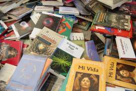 En total fueron impresos 7 millones de ejemplares, que fueron enviados el mes de noviembre del año pasado por medio de la SRE.