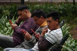 En 2024, el Sistema Nacional de Salud registró 144 mil 897 casos de personas de entre 5 y 19 años que solicitaron atención por condiciones de salud mental.