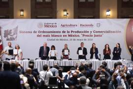 Buscan garantizar autosuficiencia, estabilizar el mercado nacional y fortalecer la rentabilidad de productores.