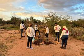 La presidenta de la Comisión Nacional de los Derechos Humanos (CNDH), Rosario Piedra, pasó de impulsar la intervención del Comité contra la Desaparición Forzada de la ONU a descalificarlo públicamente.