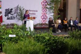 Este 9 de agosto se realizará la Jornada Nacional de Reforestación, con la que se plantarán más de 6.6 millones de árboles y plantas en los 32 estados.