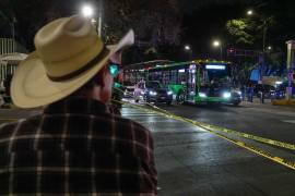 La dependencia señaló que continúan operando más de 200 bodegas y 203 ventanillas para orientación y atención a productores.