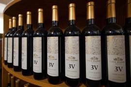 El desempeño de 2025 marca un antes y un después para Casa Madero.