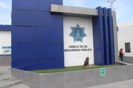 Los detenidos fueron puestos a disposición de las autoridades competentes.