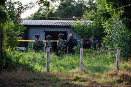 Una nueva ola de violencia azota a Sinaloa con cinco nuevos asesinatos.