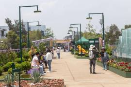 El desarrollo del proyecto urbano conocido como Jardín Flotante, en la Ciudad de México, se encuentra en una etapa crítica.