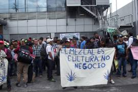 El crecimiento mundial del mezcal convirtió al agave en un negocio de gran escala donde productores y especialistas ya resienten costos ambientales.