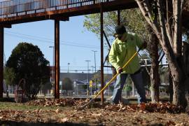 Desde temprana hora, trabajadores del Municipio se dieron a la tarea de limpiar los jardines del Paseo de la Reforma.