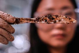 Katie Byun sostiene un cuchillo compostable, hecho con plástico a partir de plantas, en la empresa CJ Biomaterials, el 3 de agosto de 2026, en Woburn, Massachusetts.