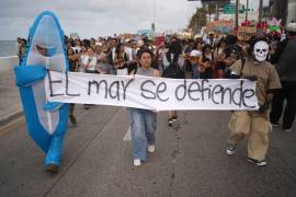 Senadoras priistas impulsaron un punto de acuerdo para citar al director de Pemex y pedir reportes sobre el hallazgo de hidrocarburos en Veracruz y Tabasco.