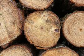 Las autoridades ambientales han reforzado las labores de inspección y vigilancia en distintos puntos de la entidad.