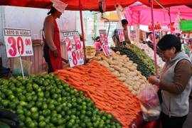 Otra de las hortalizas que más se vendieron fue la zanahoria que aumentó en 11% el volumen de las exportaciones y en 19% el valor de éstas. FOTO: