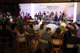 En la ruta participan 21 casas vitivinícolas, el Museo del Desierto, Rincón Colorado y los Bosques de Monterreal.