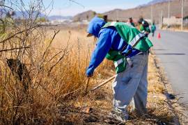 Las jornadas de descacharrización y deshierbe permiten prevenir riesgos sanitarios y recuperar espacios públicos para la convivencia familiar.