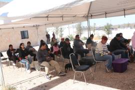 En el marco del Día Mundial de la Esterilización Animal, Ecología e Imagen Urbana Municipal anunció el inicio de una campaña sin precedentes que contempla 2 mil 500 esterilizaciones gratuitas durante 2026.