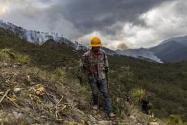 Según especialista, la Sierra de Arteaga reúne las características necesarias para que sigan ocurriendo incendios forestales.