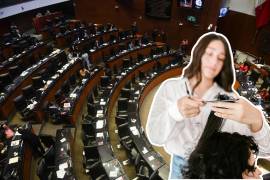Después de varios años de haberla cerrado, el Senado de la República reabrió en completo sigilo la estética para legisladoras, pero la clausuraron a las horas.