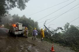 La Comisión Federal de Electricidad (CFE) informó que luego de las lluvias registradas en diversos estados de México se provocó afectaciones e interrupciones en el suministro de energía eléctrica.