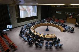 El músico británico Roger Waters pronuncia un discurso a través de un video en una reunión del Consejo de Seguridad de las Naciones Unidas convocada por Rusia.