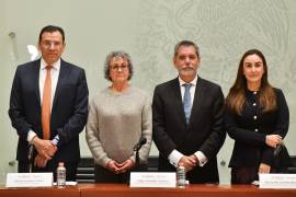Tras la votación, las propuestas podrían llegar al Pleno del Senado.