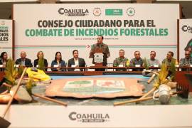 En 2025, Coahuila estuvo entre los 10 estados con menor área afectada por incendios.
