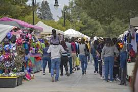 Los comerciantes que de colocan cada fin de semana en la Alameda de Arteaga, afirman que la Alcaldesa les aplica cuotas imposibles de pagar.