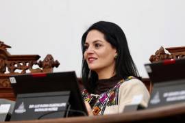 Legisladora sugiere analizar la reforma con cautela para no afectar la democracia.