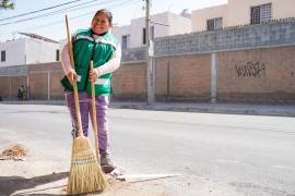 Ambas estrategias contribuyeron a la limpieza, mantenimiento y embellecimiento de la ciudad.