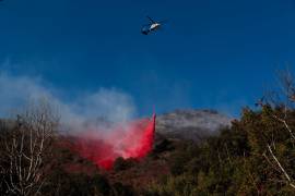 Los incendios forestales han arrasado esta semana más de 14.163 hectáreas de la zona de Los Ángeles.