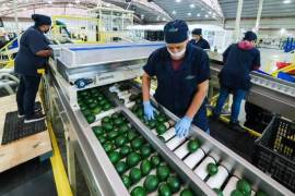 El estado logró cerrar en el mes de junio con 849 mil 800 puestos de trabajo, lo que superó a los 848 mil 325 de mayo.