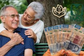 Los pensionados del IMSS y del ISSSTE recibirán su aguinaldo en las próximas semanas, por lo que es importante saber cuánto y cuándo recibirán los adultos mayores.