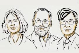 El Premio Nobel de Medicina 2025 celebra un logro histórico en la comprensión del sistema inmunitario. Los científicos Mary E. Brunkow, Fred Ramsdell y Shimon Sakaguchi fueron galardonados.