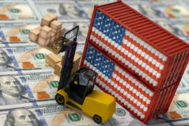 Cada declaración puede agrupar miles de operaciones de importación distintas, que luego son revisadas de manera individual.