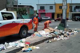 Hay en marcha campaña de recolección promovida por el municipio para mitigar el impacto de residuos mal dispuestos.