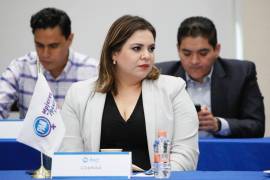 Señalan a la dirigente actual, Elisa Maldonado, de promover una elección acotada al voto de consejeros.