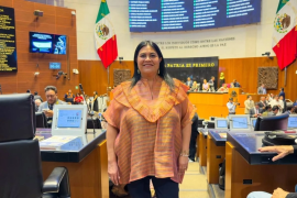 Guadalupe Chavira planteó que la permanencia del gobernador bajo señalamientos de una corte de EU coloca a Sinaloa en una situación institucional delicada.