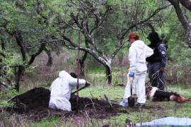 Fosa. Antes de que el crimen lo usará como cementerio clandestino, Los Negritos era visitado por familias.