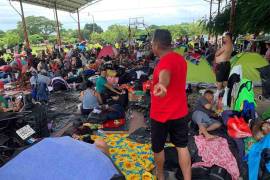 La bancada de Movimiento Ciudadano (MC) en el Senado presentó una iniciativa de reforma para crear en el país un cuerpo de policía migratoria.