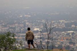 Apuntan que diversos informes ambientales muestran que la contaminación atmosférica continúa siendo uno de los principales riesgos para la salud.