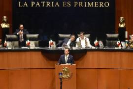 El senador Gabriel Elizondo cuestionó que la reforma no establezca directamente todos los límites económicos para revisar inversiones extranjeras