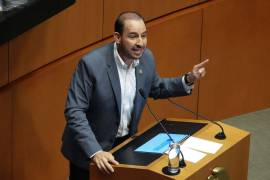 El senador también advirtió sobre posibles riesgos económicos, financieros y diplomáticos de estas operaciones.